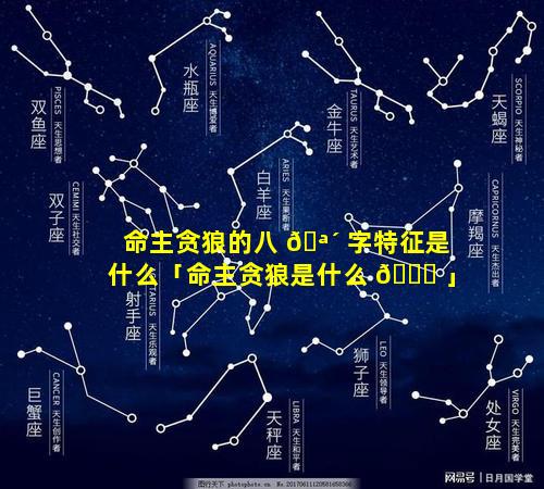 命主贪狼的八 🪴 字特征是什么「命主贪狼是什么 🍁 」